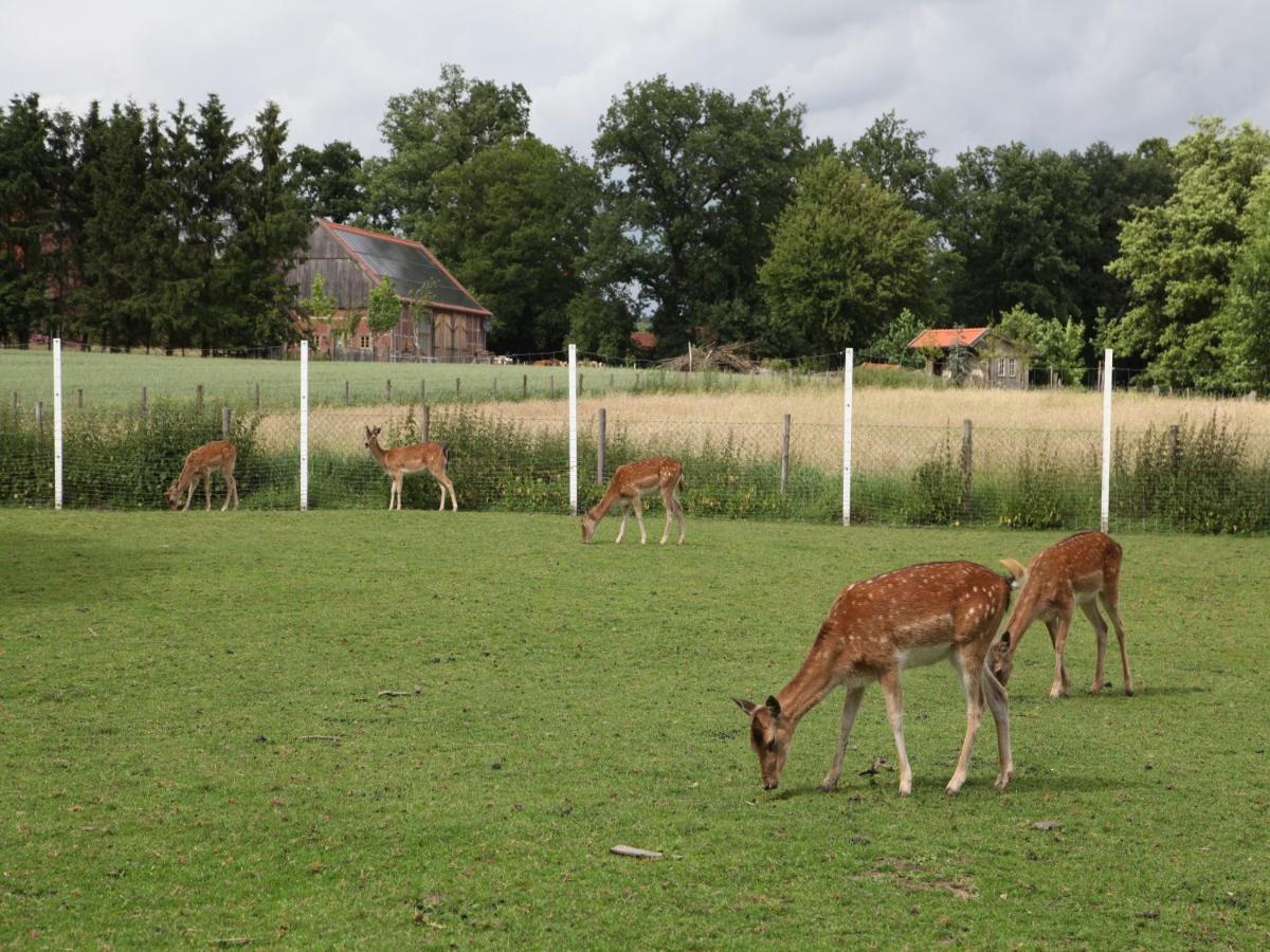 Gaeste Und Ferienhof Maas Duelmen Luaran gambar